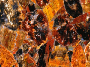 semi precious red petrified wood stone from grama blend uk