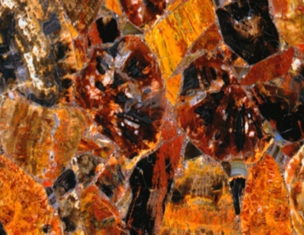 semi precious red petrified wood stone from grama blend uk