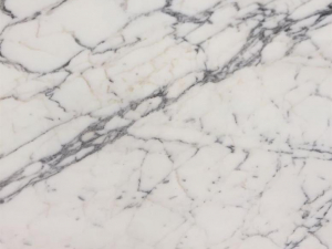 close up shot of arabescato corchia stone from grama blend uk