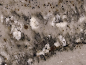 close up of armone from grama blend uk