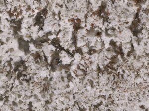 bianco antico close up shot from grama blend uk