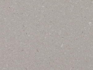 Clamshell Close Up 1