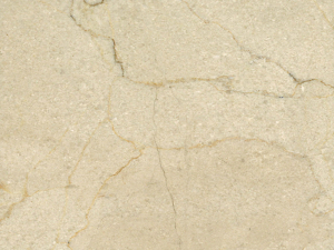 Crema Marfil CLose up 1
