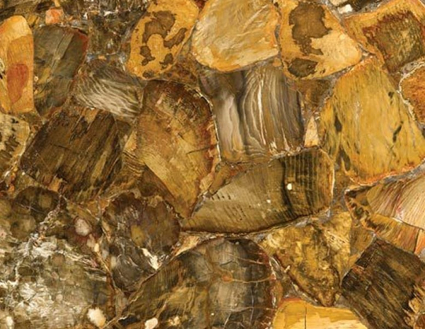desert petrified wood stone from grama blend uk