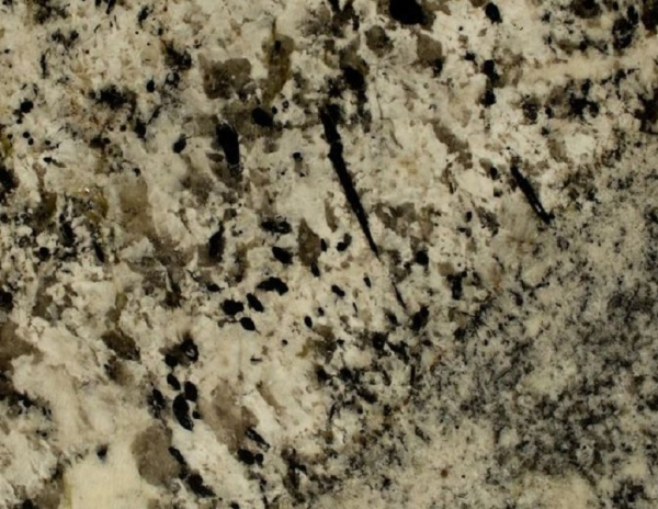 close up silver marine shop from grama blend uk