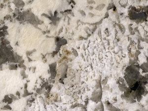 close up shot of white nevada stone from grama blend uk