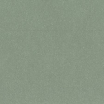 Posidonia Green Close Up