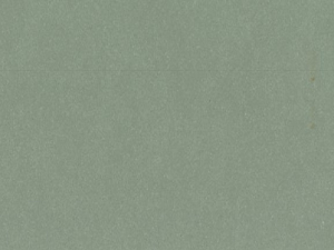 Posidonia Green Close Up