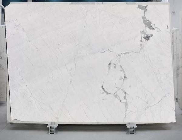 Bianco Statuarietto Slab Image 1