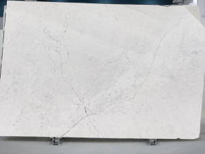 Bianco Statuarietto Slab Image 2