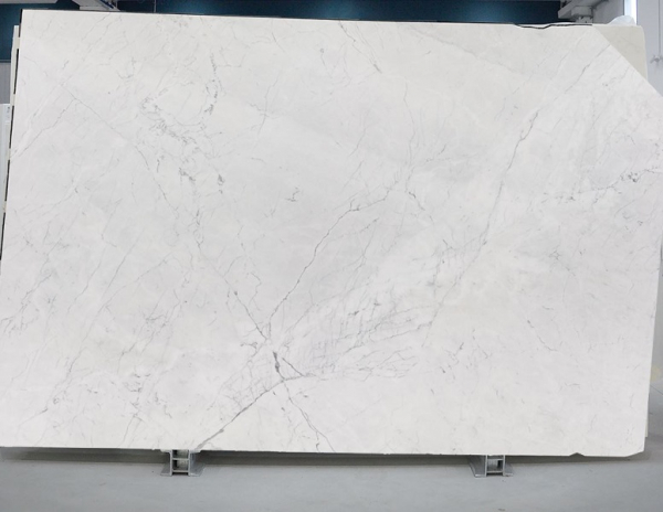 Bianco Statuarietto Slab Image 2