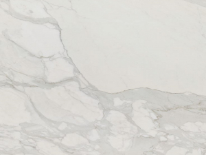 Calacatta Cremo Close Up