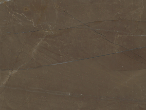 Gris Pulpis Marble Close UP