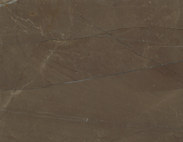 Gris Pulpis Marble Close UP
