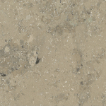 Jura Grey. close up
