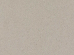 Wyndigo