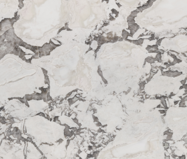 Dover White Close Up