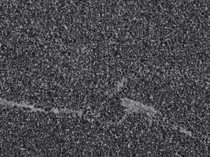 Black Pepper Close Up Sample