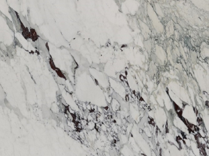 Breccia Capraia Close Up Sample