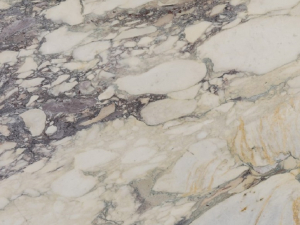 Calacatta Monet Close Up Sample
