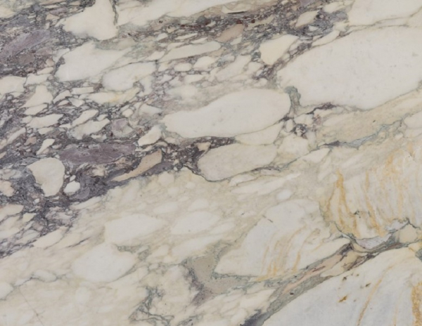 Calacatta Monet Close Up Sample