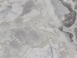 Oyster White Close Up Sample