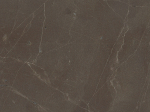 Colonial Bronze Marble Close Up